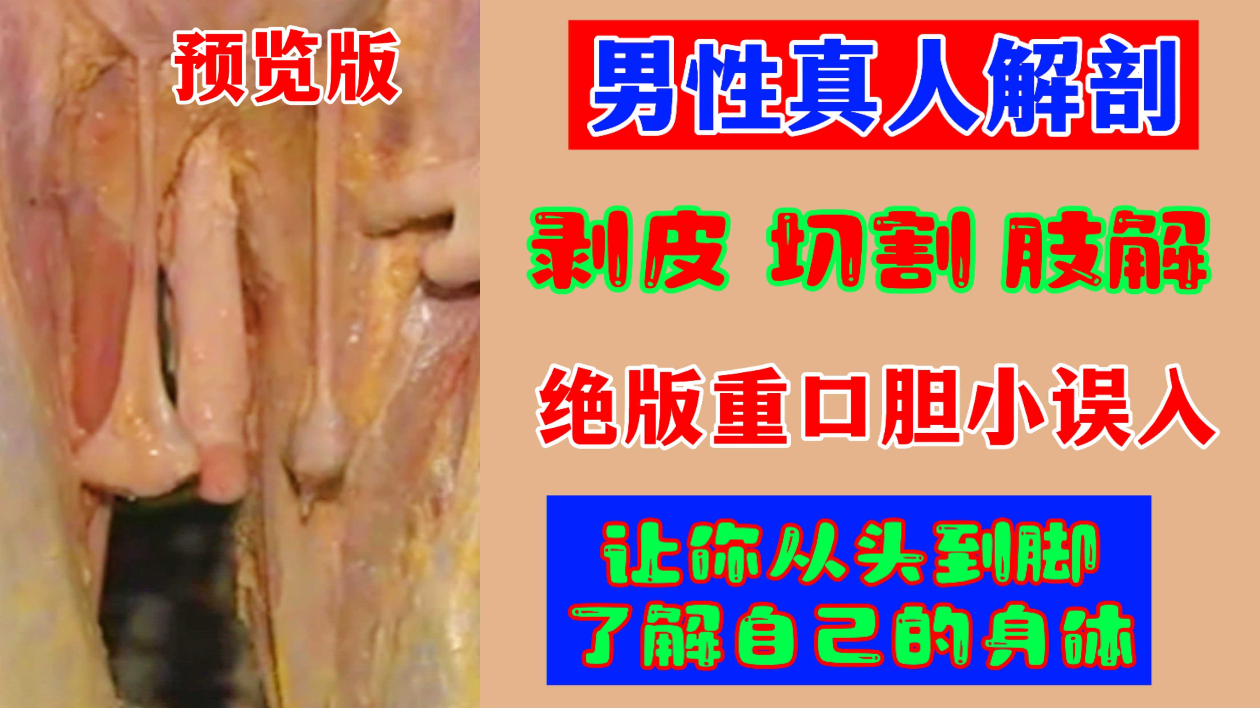 【重口肢解】男性真人解剖讓你從頭到腳
瞭解自己的身體剝皮切割肢解重口膽小誤入