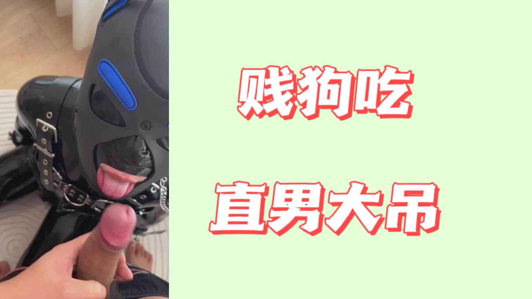 賤狗吃直男大吊