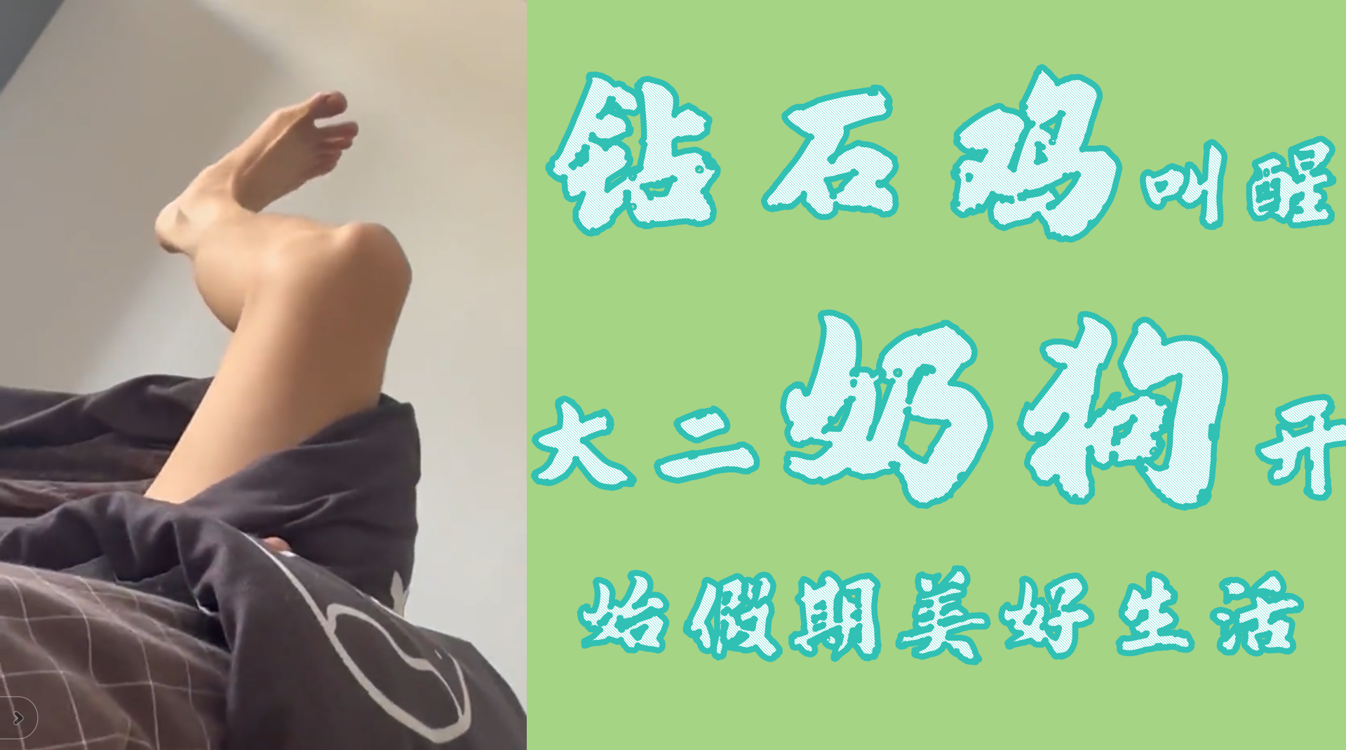 鑽石擊叫醒大二奶狗
